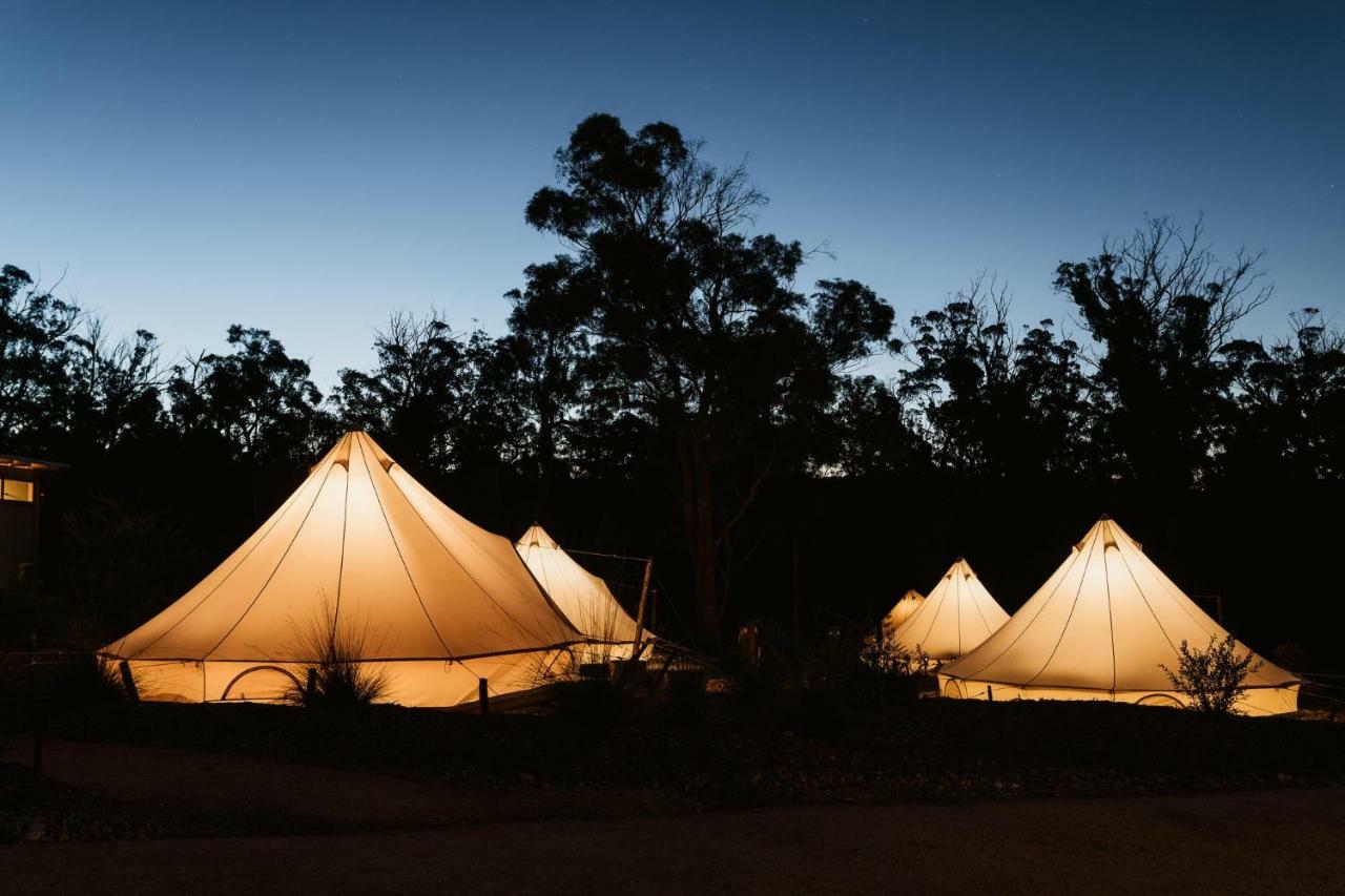 Bay Of Fires Bush Retreat Bed & Breakfast Binalong Bay Ngoại thất bức ảnh